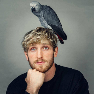 صورة Logan Paul