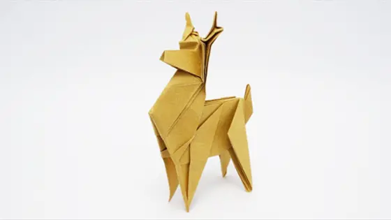 صورة اوريغامي مع ناكاشيما Origami with Jo Nakashima