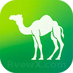 صورة الجمل تي في camel1.tv