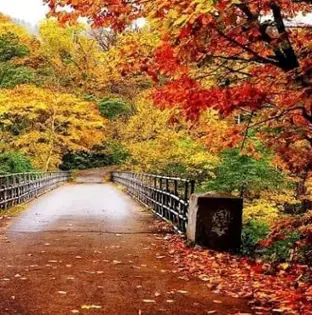 صورة plant_world_iq الشخصية | RvewX