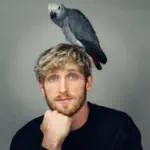 Logan Paul Profile Picture