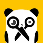 Crafty Panda Profile Picture