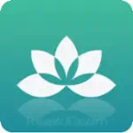 يوكا ستوديو yogastudio Profile Picture
