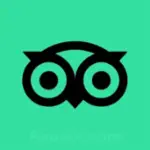 تريب أدفايزر TripAdvisor Profile Picture