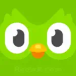 دوولينجو Duolingo Profile Picture