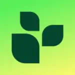 لايفسم Lifesum Profile Picture