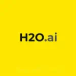 اش 2 او  للذكاء الاصطناعي H2O.ai Profile Picture