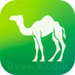 الجمل تي في camel1.tv Profile Picture