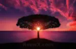 الطبيعة naturetopic Profile Picture