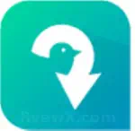 تي دبل يو داون دوت نت TWDown.net  Profile Picture