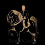 اسطبلات مصر Egypt stables Profile Picture